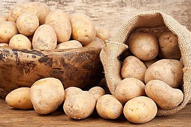 《宝可梦：大集结》最新更新上线 平衡调整商店更新